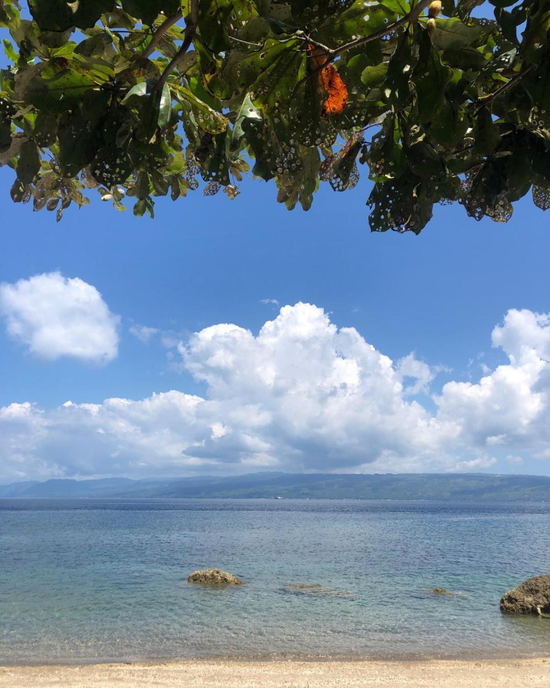 Wuthering Heights Bed & Breakfast By The Sea Dumaguete City ภายนอก รูปภาพ
