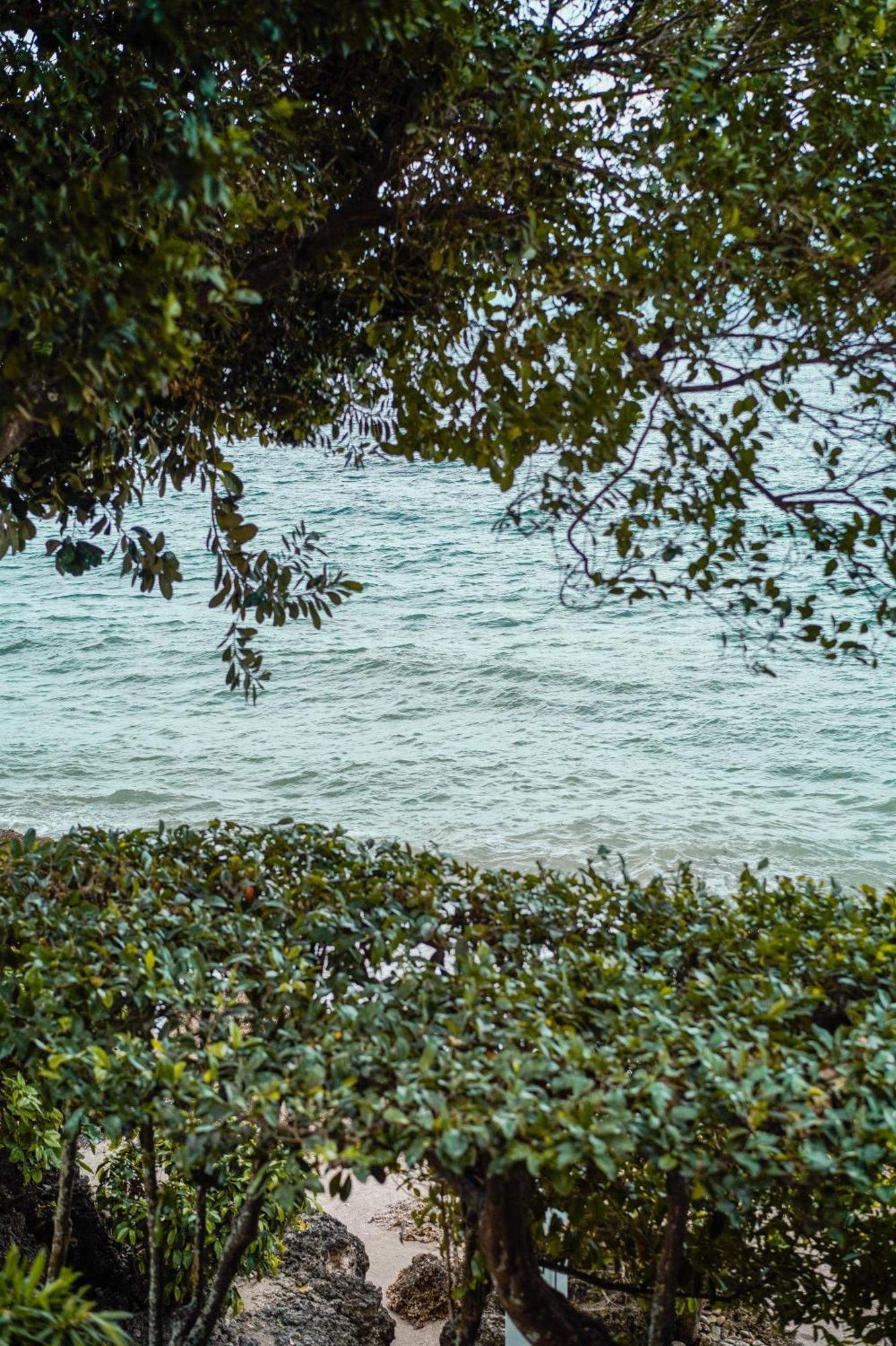 Wuthering Heights Bed & Breakfast By The Sea Dumaguete City ภายนอก รูปภาพ